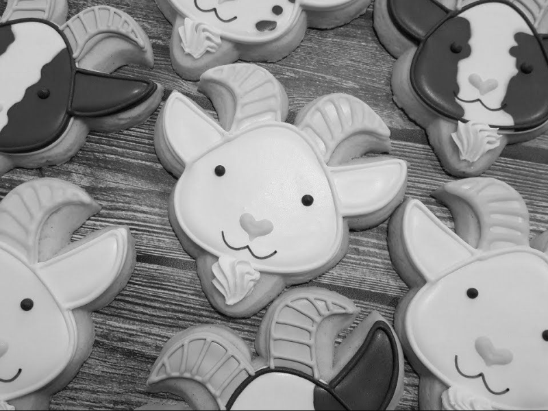 Il problema non sono i&nbsp;cookie